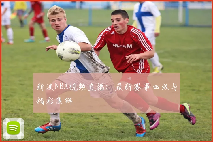 新浪NBA视频直播：最新赛事回放与精彩集锦